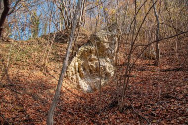 Ormandaki mağaraya girişi olan bir kaya.