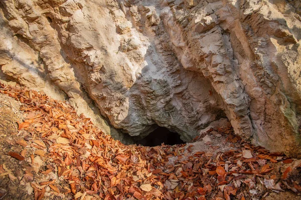 Uma Rocha Com Uma Entrada Para Caverna Floresta — Fotografia de Stock