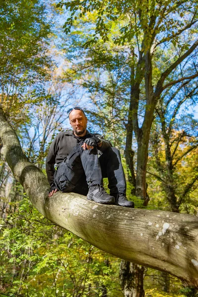 Adam ağaca tırmandı. Bir sonbahar ormanında ağaçta oturan adam