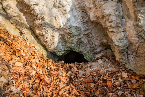 Ormandaki mağaraya girişi olan bir kaya.