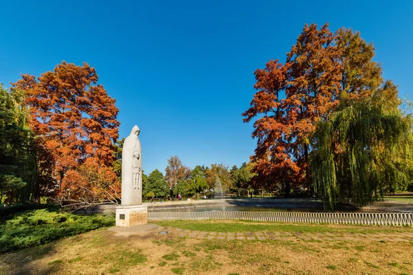 Novi Sad, Sırbistan - 29 Ekim 2021: Tuna Parkı (Sırpça: Dunavski Parkı), Novi Sad şehir merkezinde bir şehir parkı. 1895 'te kuruldu ve şehrin sembollerinden biri olarak korunuyor..