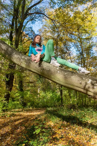 Mała Dziewczynka Wspięła Się Drzewo Dziewczyna Siedzi Drzewie Jesiennym Lesie — Zdjęcie stockowe