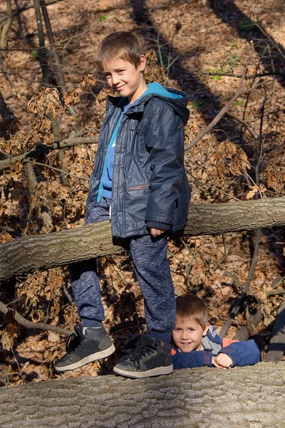 Portrait Brothers Forest — Stock Photo, Image