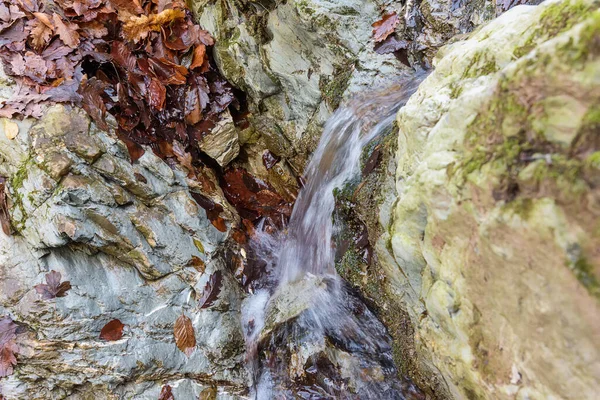 Ett Litet Vattenfall Skogen — Stockfoto