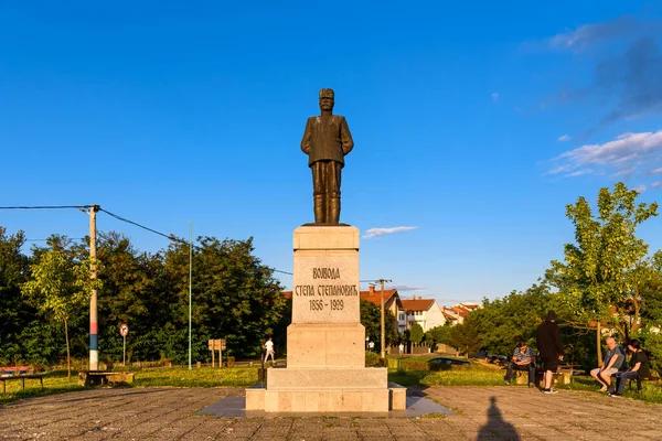 Loznica Serbia Luglio 2022 Monumento Stepa Stepanovic 1856 1929 Loznica — Foto Stock