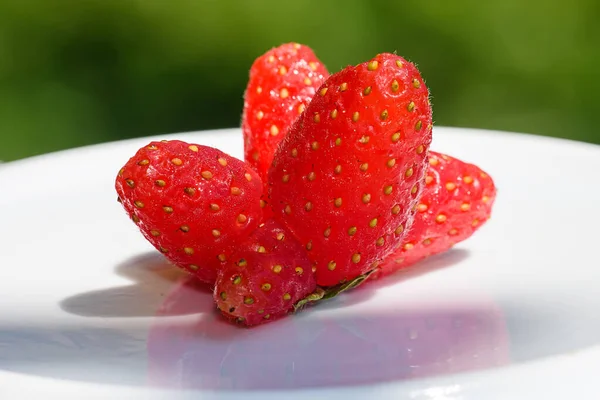 Seltsam Komische Unvollkommene Frische Saftige Erdbeeren Ungewöhnliche Bio Erdbeeren Trendy — Stockfoto