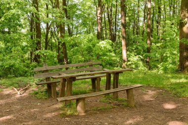 Güzel parkta ahşap masa ve bank.