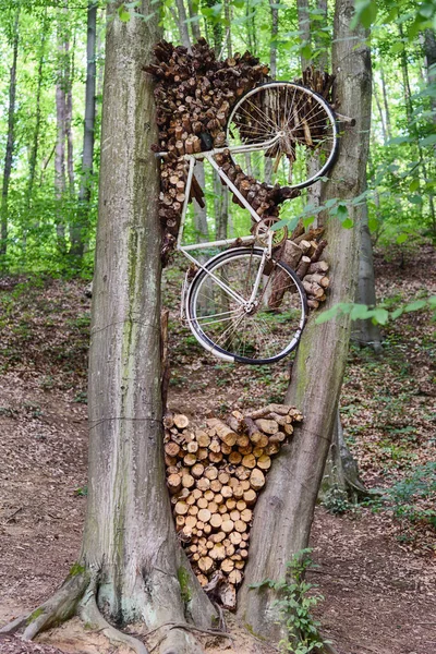 Antique bicycle hanging in a tree. The bike got stuck between two trees