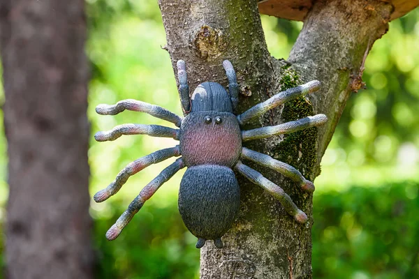 Aranha Como Brinquedo Jardim — Fotografia de Stock