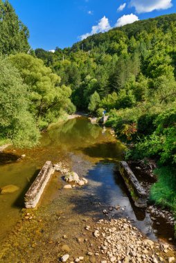 Visoica nehri Sırbistan 'da Stara planinasında
