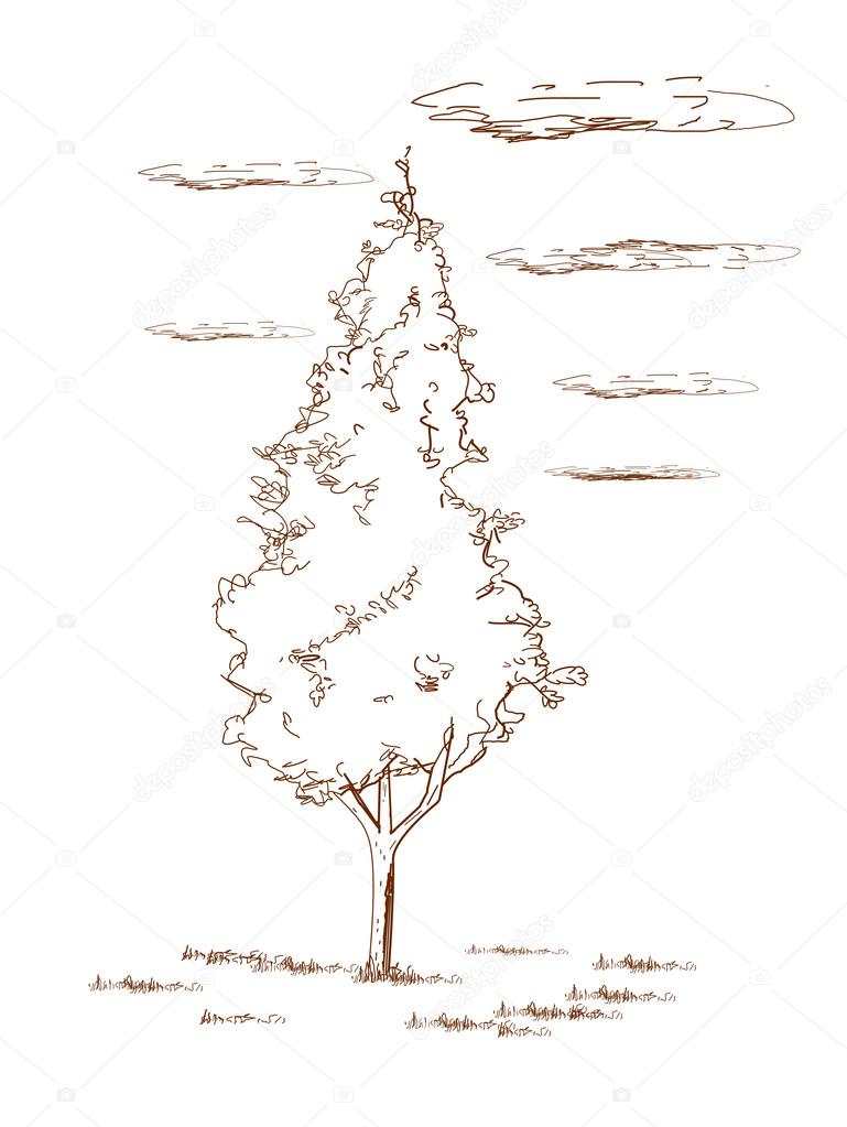 W Lesie Epodreczniki Pl