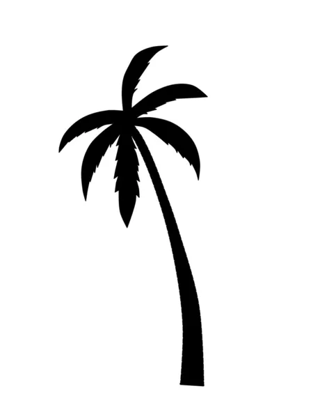 Silhouet van Palm. — Stockvector