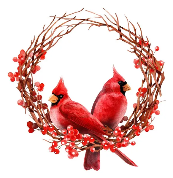 Aquarel cliparts. Kerst en winter rode vogel kardinalen. — Stockfoto