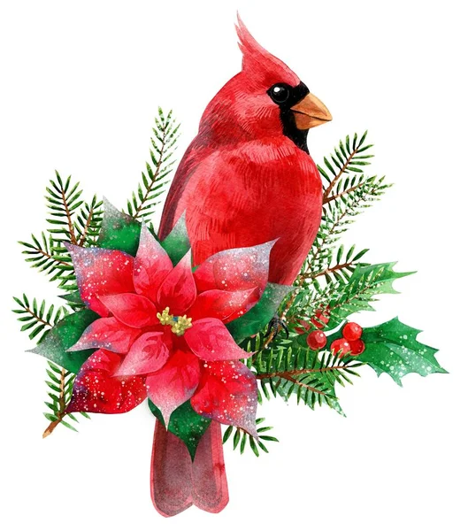 Aquarel cliparts. Kerst en winter rode vogel kardinalen. — Stockfoto