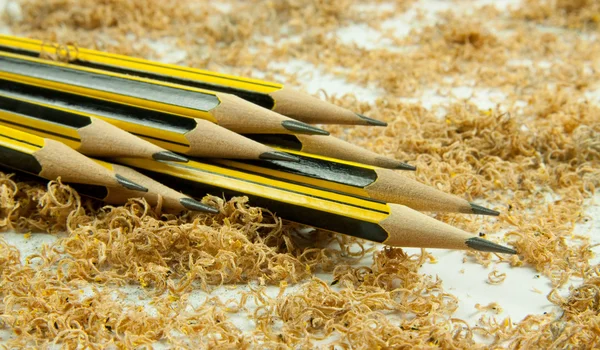 Wooden pencil with shavings — Stock Photo, Image