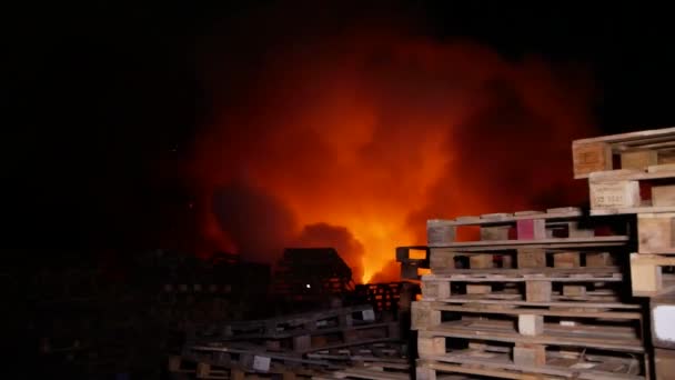 Tűz Egy Fakitermelő Cégnél — Stock videók