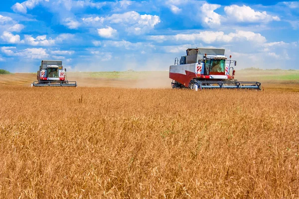 Combinar o, para estar en el campo — Foto de Stock