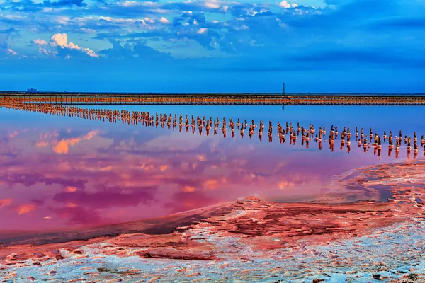 Hermoso Lago Sal Rosa Con Pilares Madera Cubiertos Cristales Sales — Foto de Stock