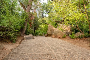Turist yürüyüş yolu eğlence alanındaki halka açık bir parkta taş fayanslarla döşenmiş.