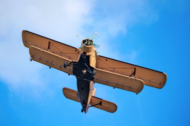 Erkekler Banyoda