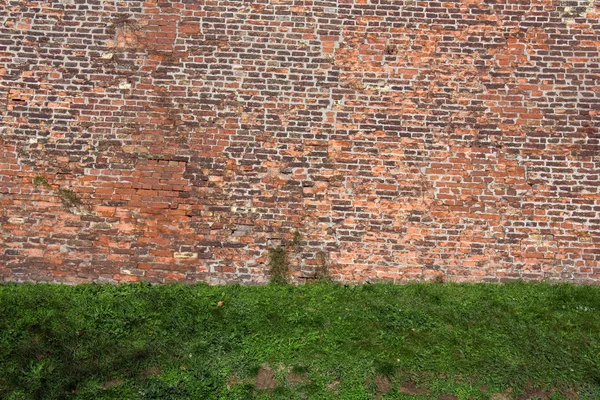 Old rugged brick wall with green grass — Stock Photo, Image