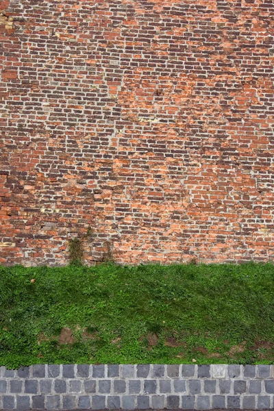 Old rugged brick wall with green grass — Stock Photo, Image