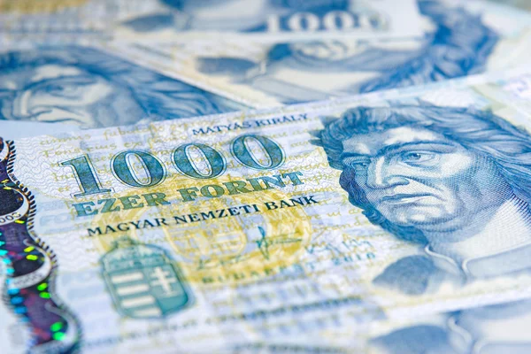 Macar forint banknotlar