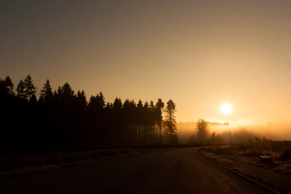 朝の太陽 — ストック写真