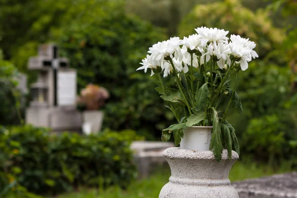 Bloemen op de begraafplaats — Stockfoto