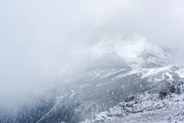 Vinter i Alperna — Stockfoto