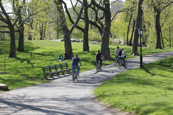 सेंट्रल पार्कमधून प्रवास करणारे सायकलिस्ट तर इतर लोक तीव्र शहरातून आराम करतात — स्टॉक फोटो, इमेज