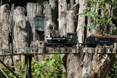 model oyuncak tren chicago botanic Garden