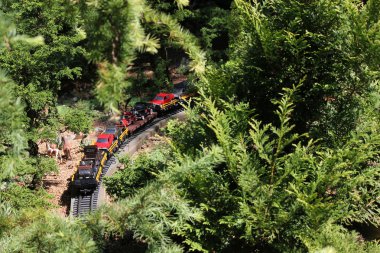 model oyuncak tren chicago botanic Garden