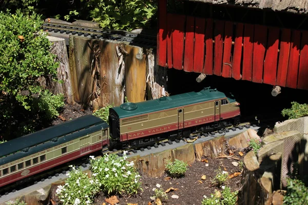 Модель іграшки поїзда в Чикаго ботанічному саду — стокове фото