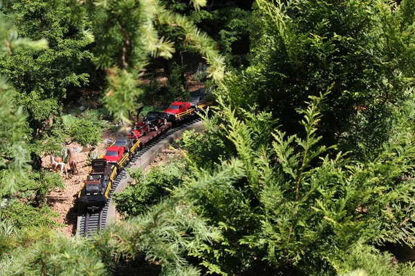 Модель іграшки поїзда в Чикаго ботанічному саду — стокове фото
