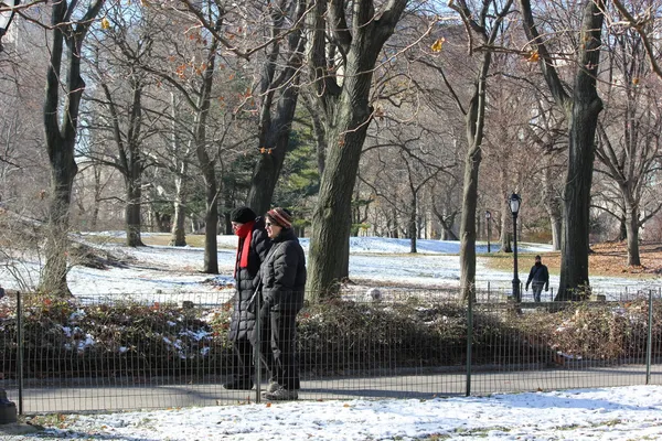 Gente vestida para el invierno disfrutando de un hermoso día soleado en Central Park Nueva York — Foto de Stock