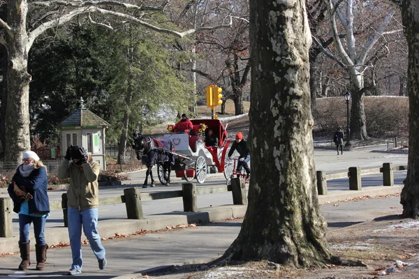 Konia i przewozu jeździć w zimie z osób korzystających w zimowe wieczory w central park, Nowy Jork — Zdjęcie stockowe