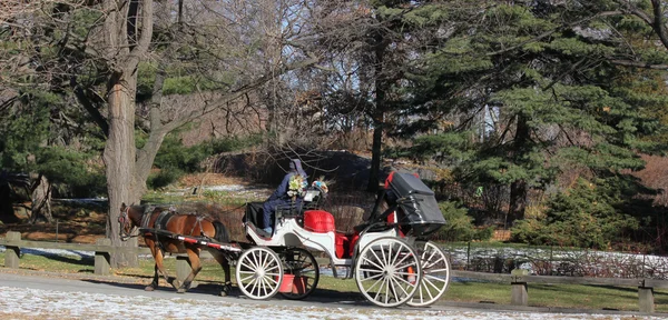 Caballo y transporte En invierno con gente disfrutando de un día de invierno en Central Park, Nueva York — Foto de Stock