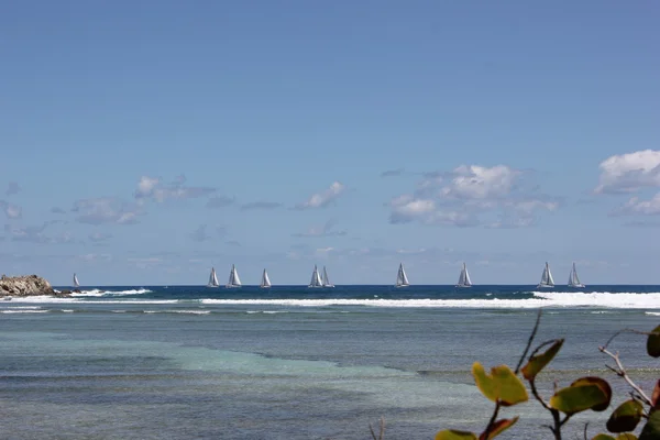 Yachts of the Heineken Regatta Race held annually in St. Martin — Stock Photo, Image