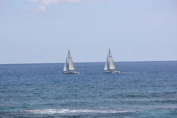 Yachts of the Heineken Regatta Race held annually in St. Martin — Stock Photo, Image