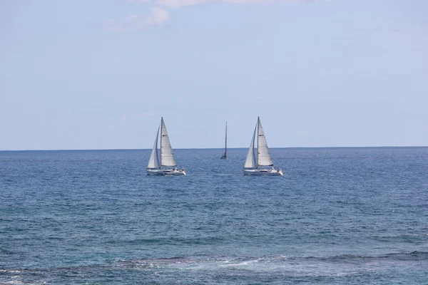 Yachts of the Heineken Regatta Race held annually in St. Martin — Stock Photo, Image