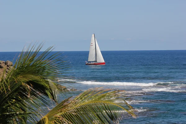 Yachts of the Heineken Regatta sailing the blue caribbean as viewed from Dawn Beach or Lighthouse Property in St. Martin — Stock Photo, Image