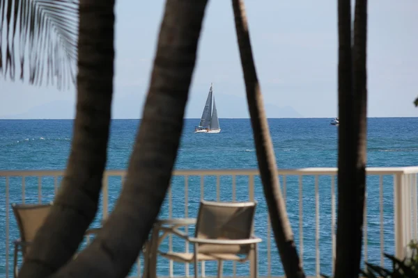 Yachts and Sailboats of the Heineken Regatta seen from the Lighthouse Resort Property in Oyster Bay Saint Martiin — Stock Photo, Image
