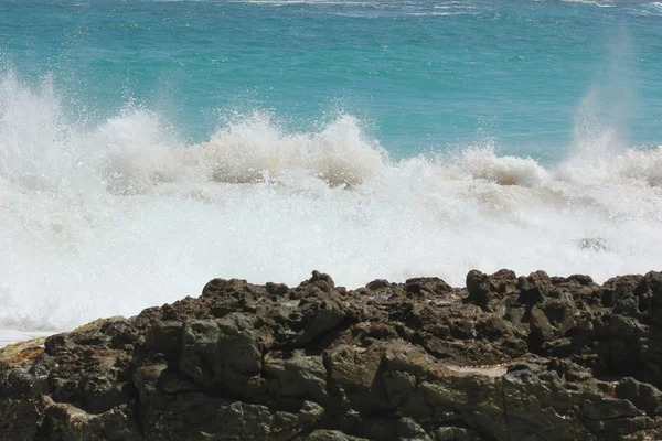 Kastvågor i Karibien på dawn beach på st. martin — Stockfoto
