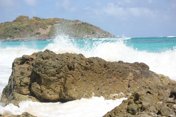 Υδροβιότοπο στο παρασκήνιο με τραχύ surf ή κύματα της Καραϊβικής στο βραχώδες τμήμα της παραλίας αυγή στην Αγίου Μαρτίνου — Φωτογραφία Αρχείου