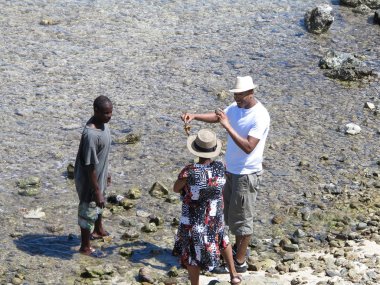 Yerel bir adam deniz kabuklarını satıyor ve turistler için Aziz marrten içinde Karayipler doğa yakınındaki diğer öğeleri koru