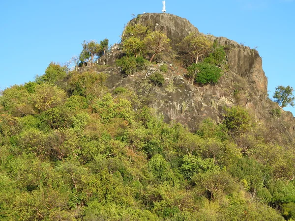 Μεταμορφωμένα πετρώματα και δέντρα και μερίδα πλαγιά του εκλείψας ηφαίστειο στο St maarten — Φωτογραφία Αρχείου