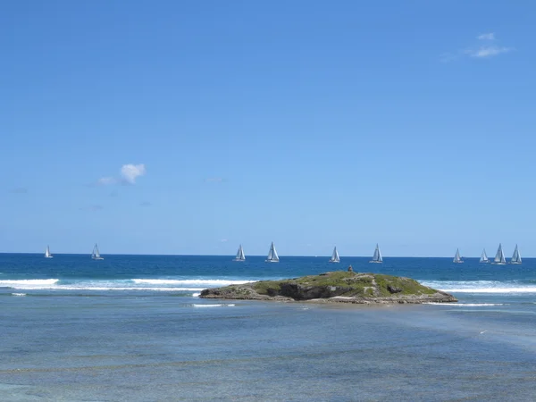 Segelbåtar av heineken regatta loppet hålls årligen i St maarten — Stockfoto