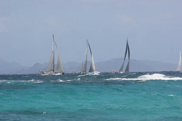 Segelbåtar av heineken regatta navigera hackig Atlanten offshore på dawn beach i St maarten Stockbild