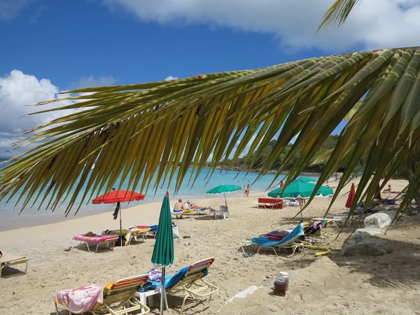 Feuilles de palmier et beau ciel bleu des Caraïbes et la mer avec des parasols de plage lumineux accueillent les gens à Friar's Bay à St. Martin — Photo